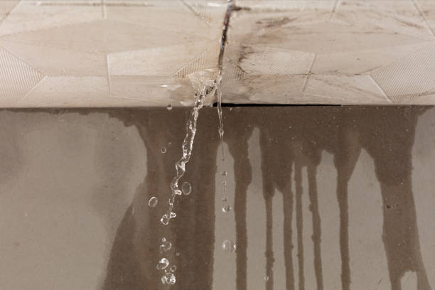 Professional Water Damage Inspection technician working in Dennis, TX
